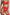 Lunavia™ | Dessous-Set