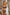 Lunarae™ | Dessous-Set