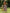 Vivienne™ | Vintage Sommerkleid