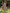 Vivienne™ | Vintage Sommerkleid